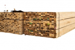 Timber for construction works